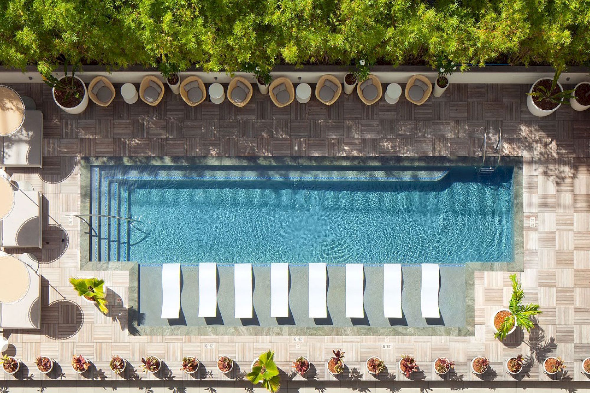 This image shows a rectangular swimming pool with lounge chairs submerged in the water, surrounded by greenery and additional seating areas.