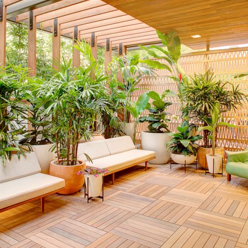 A bright room with wooden accents features lush plants, beige sofas, and a green chair, creating a relaxing, natural ambiance.