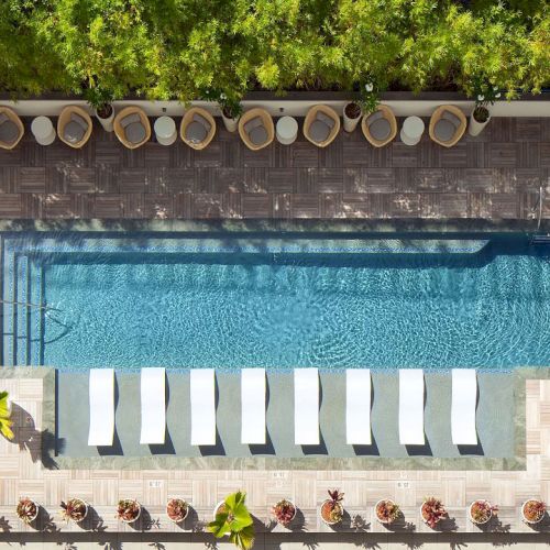 The image shows an overhead view of a rectangular swimming pool with lounge chairs and greenery surrounding it, featuring a stylish design.