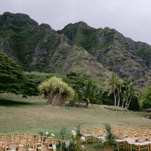 The Laylow Waikiki