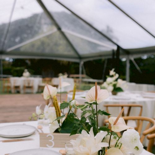 A beautifully set table with white plates and elegant floral centerpieces under a clear tent, surrounded by a scenic outdoor view.
