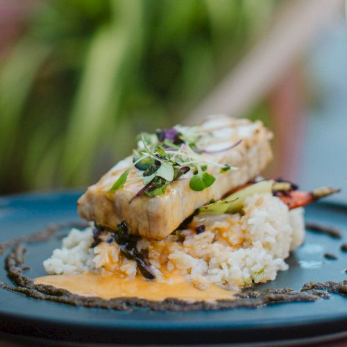 A gourmet dish featuring a piece of fish atop rice, garnished with microgreens, on a blue plate with a sauce drizzle.